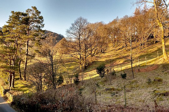 A Lake District Cottage